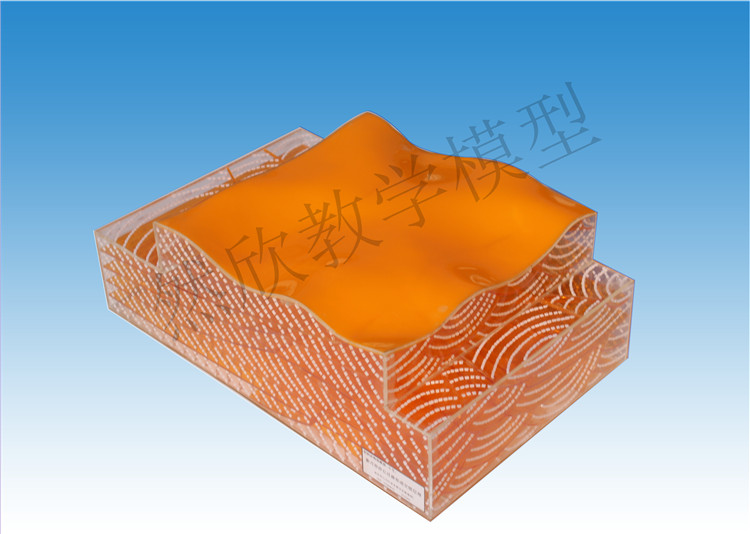 新月形沙丘遷移形成交錯層理