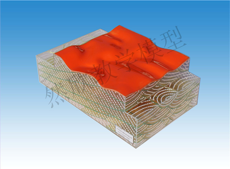 舌形沙紋遷移形成交錯層理