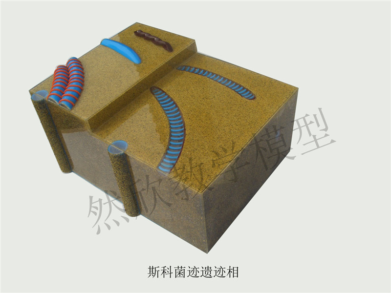 斯科菌跡遺跡相