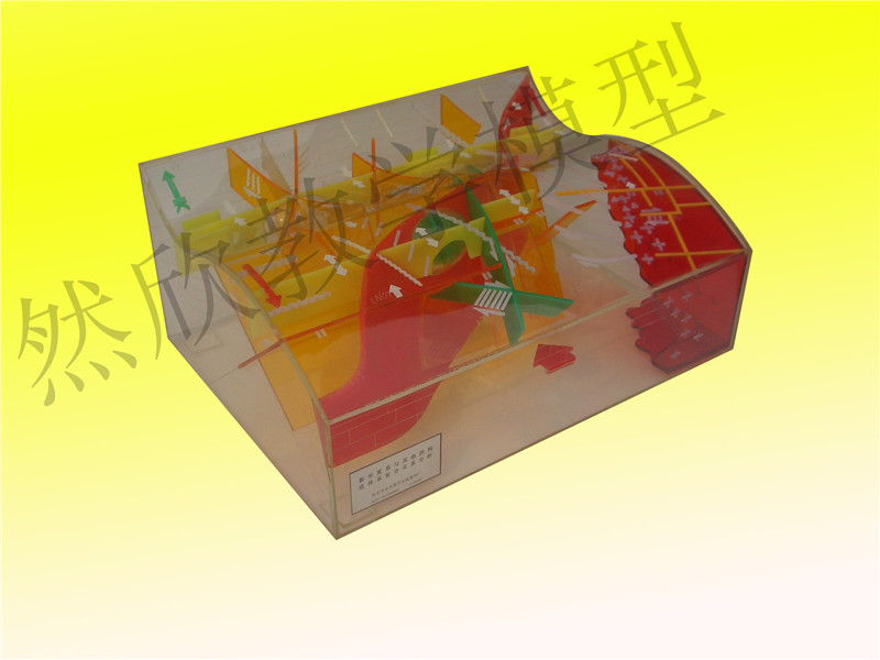 新華夏系與其他的構造體系復合關系分析