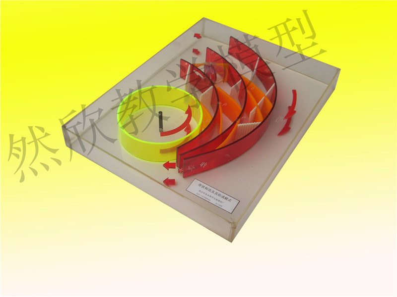 帚狀構(gòu)造及其組成模式