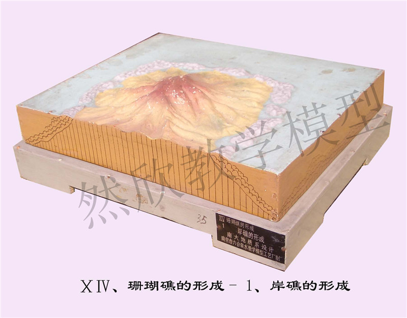 ⅩⅣ、珊瑚礁的形成- 1、岸礁的形成