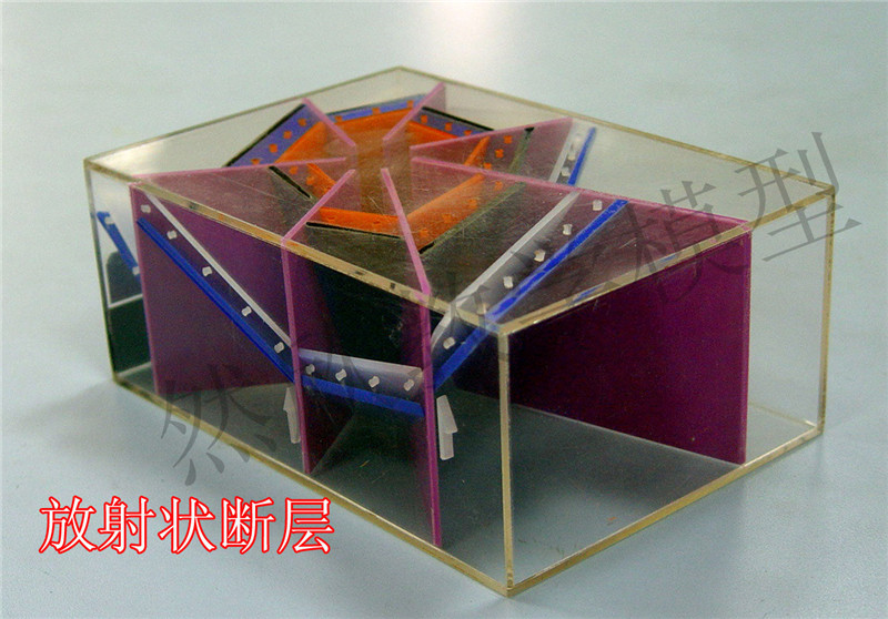 放射狀斷層